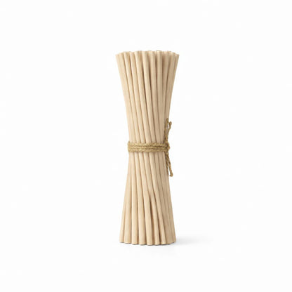 Reed Diffuser Sticks - Beige